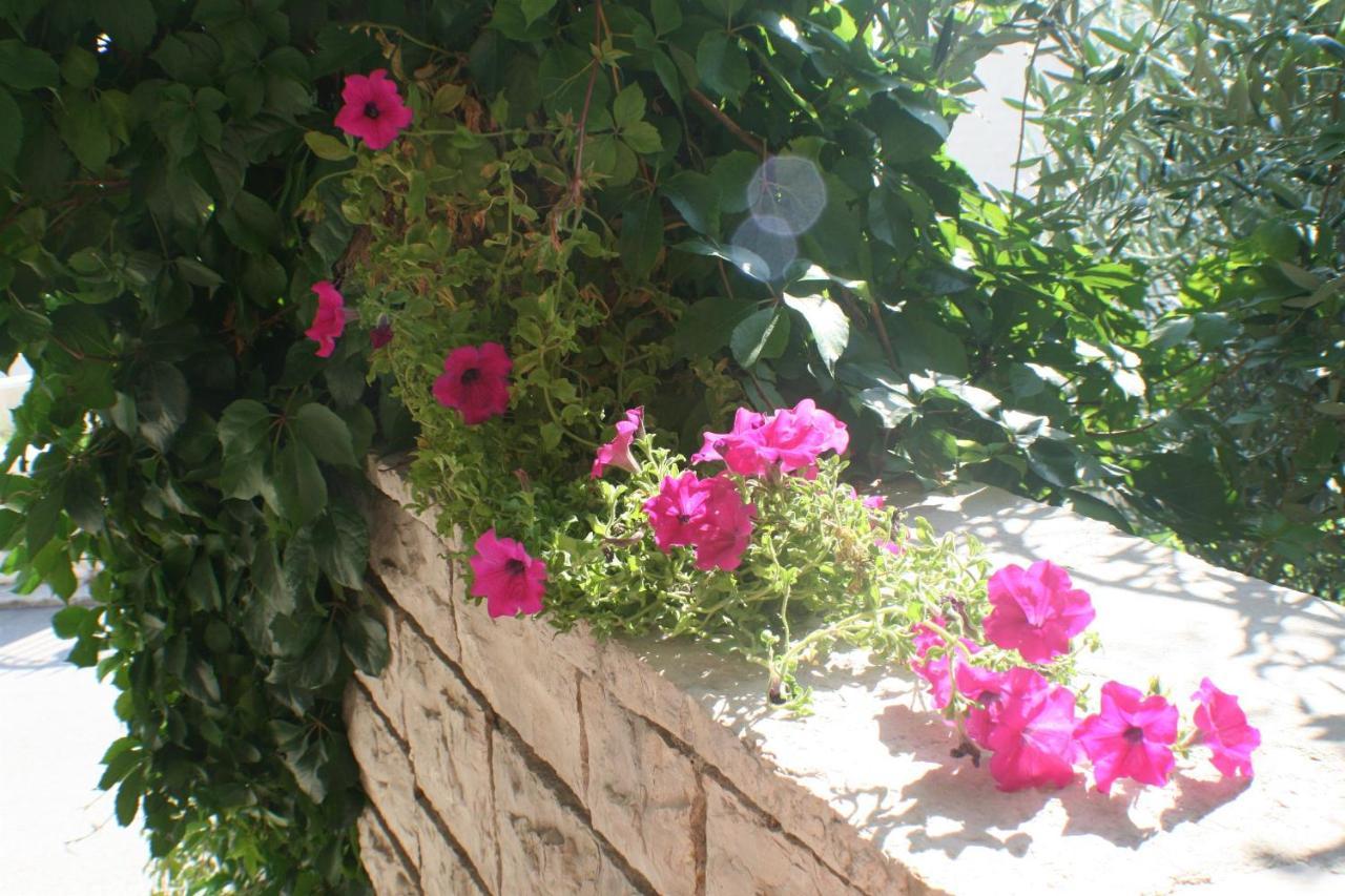 בול Apartments And Rooms Lea מראה חיצוני תמונה