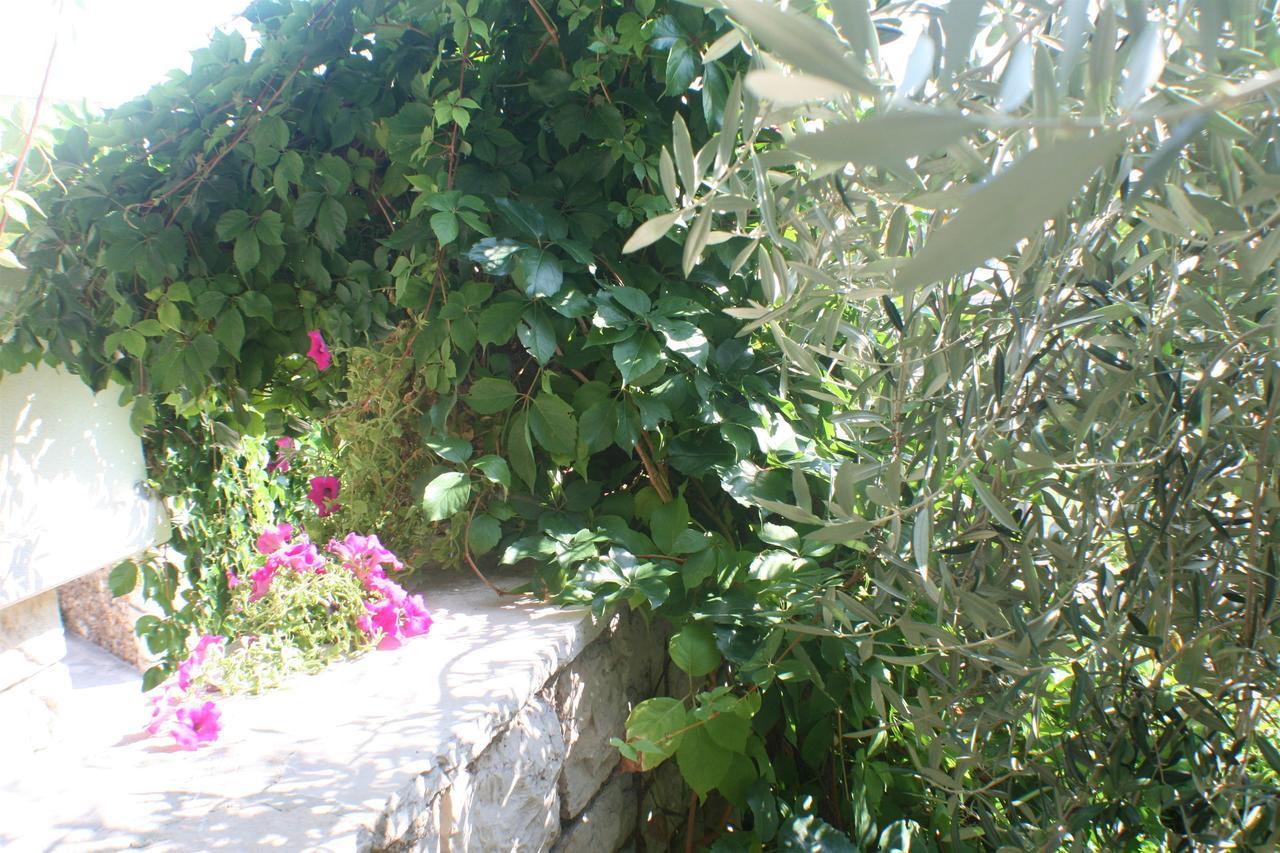 בול Apartments And Rooms Lea מראה חיצוני תמונה